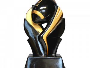 Black/Gold Football - 93800GS